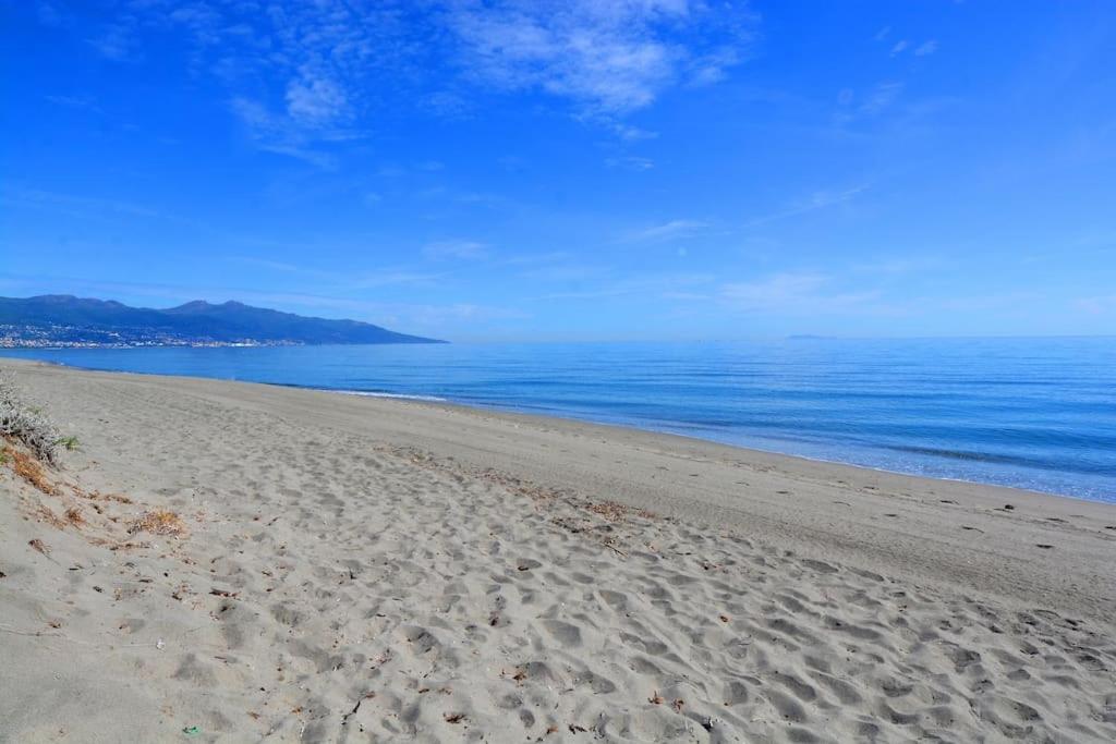 Apartment 5 Min Des Plages - Appt 2 A Casa Bella *